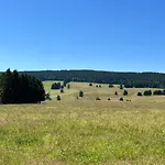 1000 M N. M. Apartament Stachy