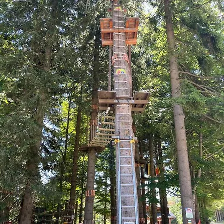 1000 M N. M. Lägenhet Stachy