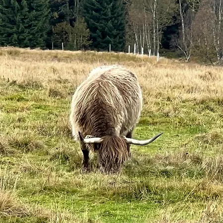 1000 M N. M. Lägenhet Stachy
