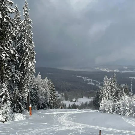 1000 M N. M. Lägenhet *