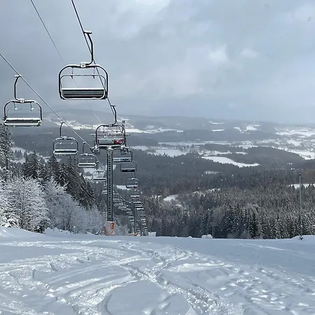 1000 M N. M. * Stachy