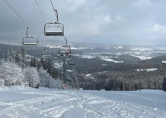 1000 M N. M. * Stachy